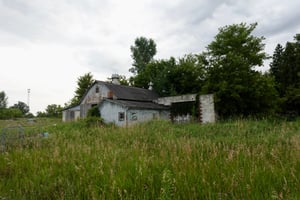 19506782