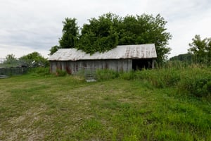 19506781