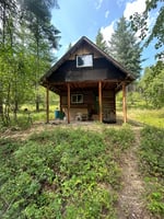 29505929