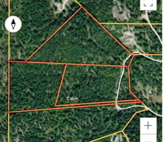 30943318