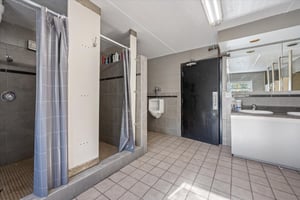 29454991