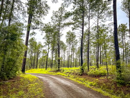 19599058