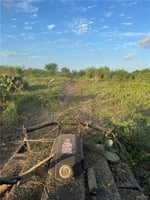 27864142