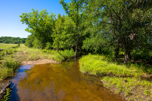 19966042