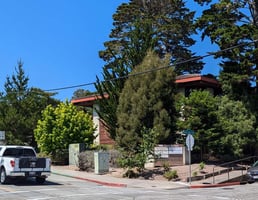 19644772