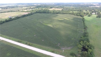 19646341