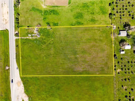 21556933