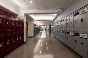 19647245