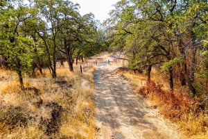 19659899