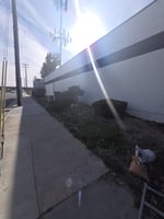 29548175