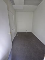 29548204