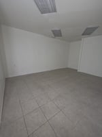 29548202