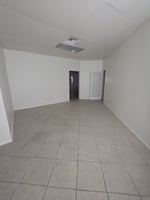 29548203