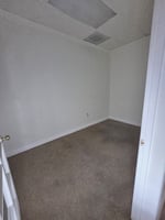 29548184