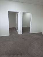 29548196