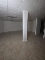 29548226
