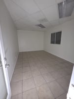 29548219