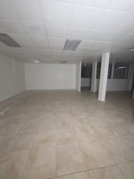 29548225