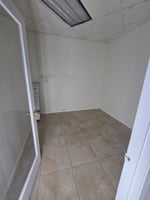 29548209