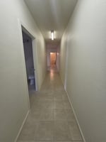 29548167