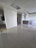 29548205