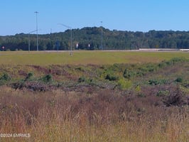 33182665