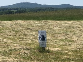 22162765