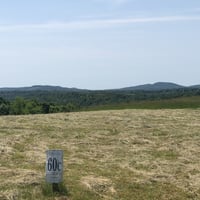 22162766
