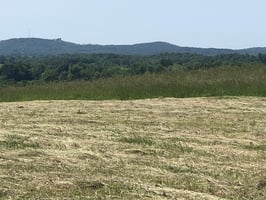 22162768