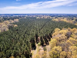 34311845