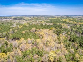 34311873
