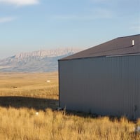 19733812