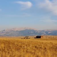 19733815
