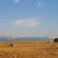 19733814