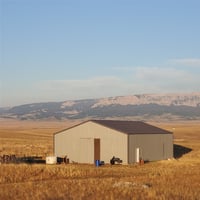 19733805