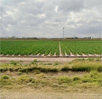 19739022