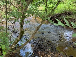 25457817