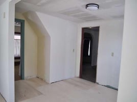 26342507