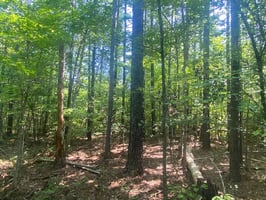 25398648