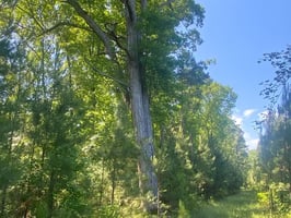 25398571