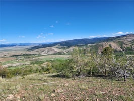 31335207