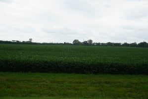 19853053