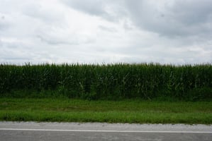 19853048