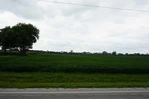 19853052