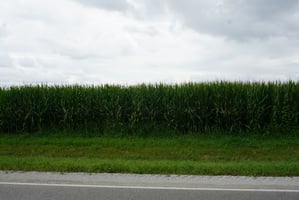 19853050