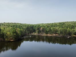 34068302