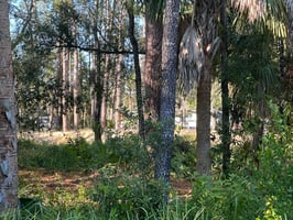 29285649