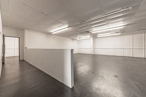 19907982