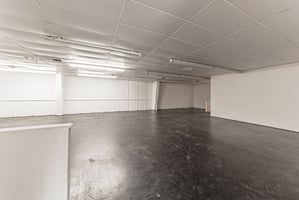19907981