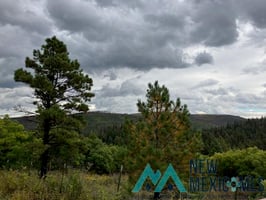 20089174